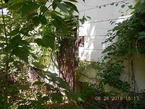 12351 Ohio St (5)_m.jpg